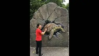 Realistic creative 3D painted wall beautification wall painting art street art wall painting mur