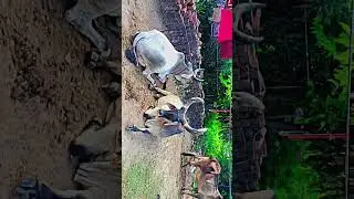 new#viralvideo #love #newstand #love #viralvideo #music ❤️&zwj;🩹🧡