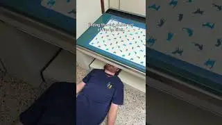 Ending the Day at the Vet Office Be Like...