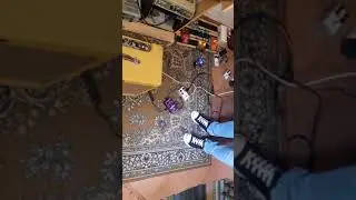 Mojo Gear Mojo Fuzz NKT275 Deluxe VS Source Audio Kingmaker fuzz