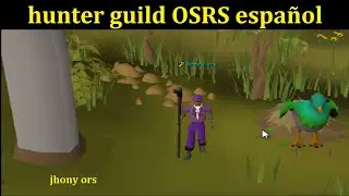 Hunter guild OSRS guia espa&ntilde;ol