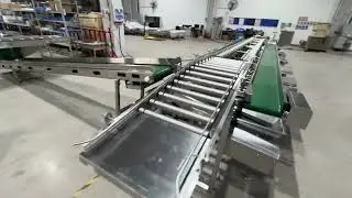 The Chicks handling 简易禽苗处理自动化