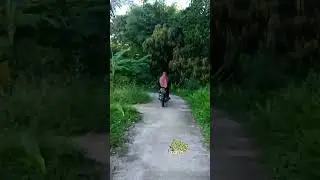Adventure explorer of village roads,the rural mountain road ricefield road