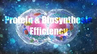 Protein & Biosynthesis Efficiency - Energetic Programming