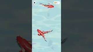 Fish for cats on screen 🐟 App name - Meowflick #fyp #fishforcats