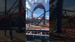 Scorpion 🦂 #buschgardens #scorpion #rollercoaster #buschgardenstampa #fast #ride #epic #coaster