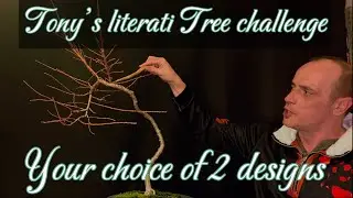 Tony’s literati bonsai tree challenge 