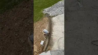 Strong Edging for Gravel