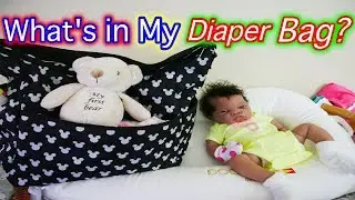 What's in My DIaper Bag for Silicone Baby Dolls, Reborn Baby Dolls, Baby Alive, & Baby Born Dolls!