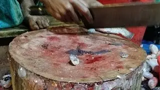 Amazing Big Golden mirror carp fish cutting skill live in my channel AleanMun is live