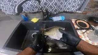 How to Clean & Descale Bluegill for Frying | Easy Catch & Cook Prep