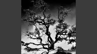 Impermanencia