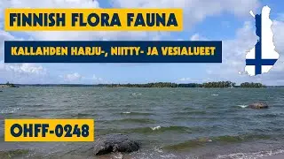 04/07/2023 - Finnish Flora Fauna - OHFF-0248 - Kallahden harju-, niitty- ja vesialueet