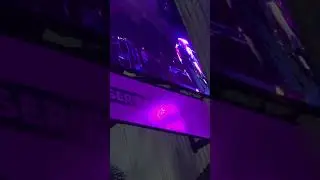 PanterA  - Strength Beyond Strength live West Palm Beach. I-think financial Amphitheatre 
