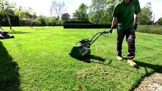 Lawn SCARIFYING in a Drought, LAWN CARE TIPS