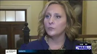 No background checks for private gun sales