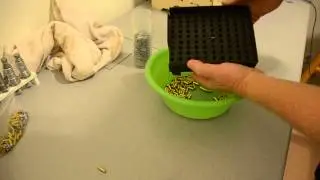 Production Version - Core Shaker