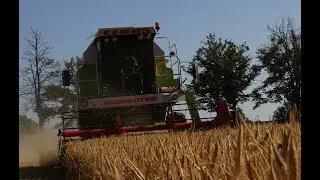 Żniwa 2019 jęczmień zimowy ✔ Claas 78☆Kujawy☆