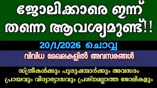 ഇന്ന് വന്ന ഒഴിവുകൾ| KERALA JOB VACANCY| MALAYALAM JOB VACANCY| TODAY JOB VACANCY| ജോലി അവസരങ്ങൾ