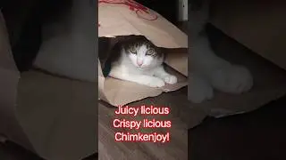 Benzaiten Buchi Boop Chimkenjoy Baby Bida ang Sarap! #cat #jollibee #chickenjoy