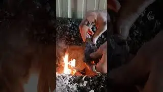 The amateur way to light a coal Forge. #blacksmithing #coalforge #fire