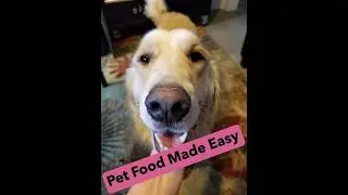 Making Pet Food from Scratch Easy