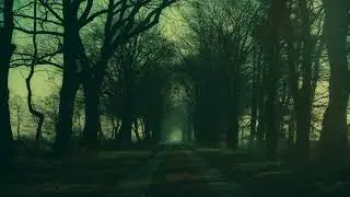 AXSProd - falling deeply