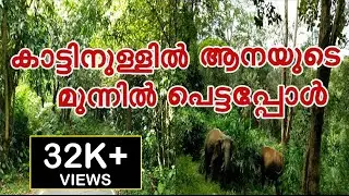 Valparai to Athirappilly Bike Ride through Deep Forest | EP: 9 | Sholayar Dam