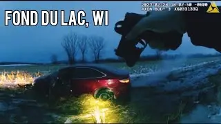 К9 побеждает в прятках после скоростной погони