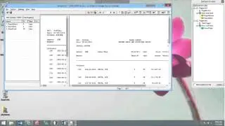 ILINX Advanced Report Management (ARM) Demo