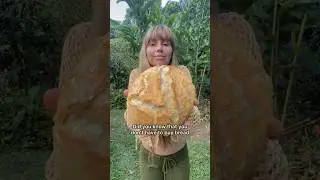 Мой хрустящий ремесленный хлеб всего за несколько часов!