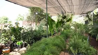 The Founder Speaks | Boutique  Farm Stay | Karjat | Weekend Getaway Near Mumbai and Pune
