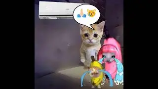 Baby Banana Cat 😺❤️ #catmemes #cat #shorts #fyp #bananacat