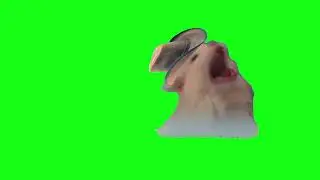 Screaming Cowbow Cat Meme GREENSCREEN