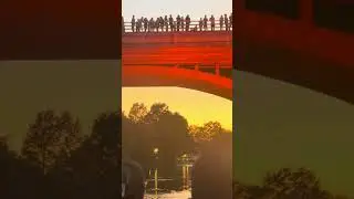 Bat watching in Austin, Tx