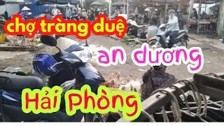Chợ tr&agrave;ng duệ an dương./do quach vlogs.