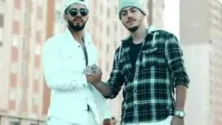 HARMONIKA - ZED x PINE