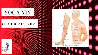 Yin Yoga pour les meridians d'estomac et rate