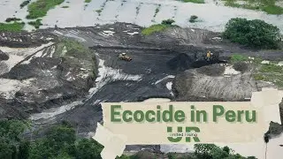 Ecocide in Peru - Interview with Alicia Abanto and Valeria Portugal