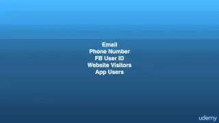 Lecture 2: What Are Custom Audiences?-FU courses