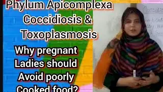 Phylum Apicomplexa || Diseases || Miller and Harley || Dr. Sana Mujtaba (Zoologist) || Baby abortion