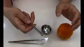 Micro bone scraper