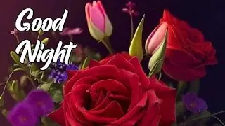 Good night photos  !! Good night images  !! Have a sweet dream