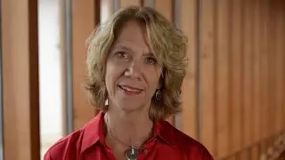 A Sneak Peek at Festival 2022