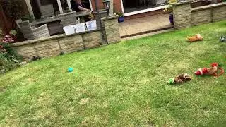 A day in the life of Barney day 6