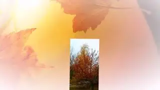 Осень в Тольятти октябрь - ноябрь 2018