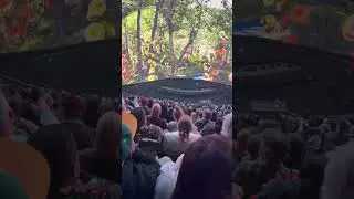 REAL Leaves Swirling EVERYWHERE! 🌪️🍃 Wizard of Oz Tornado Chaos at The Sphere