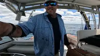 Long Island Cobia Fishing