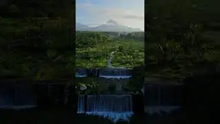 📢 Бесплатная NFT AR фигурка каждый день🚀🚀🚀 🔗 Telegram: chikorokofans #chikorokofans