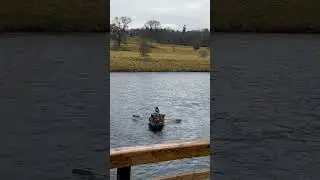 Salmon fishing on the mighty River Tweed! #salmon #scotland #flyfishing #kelso #uk #salmonmigration